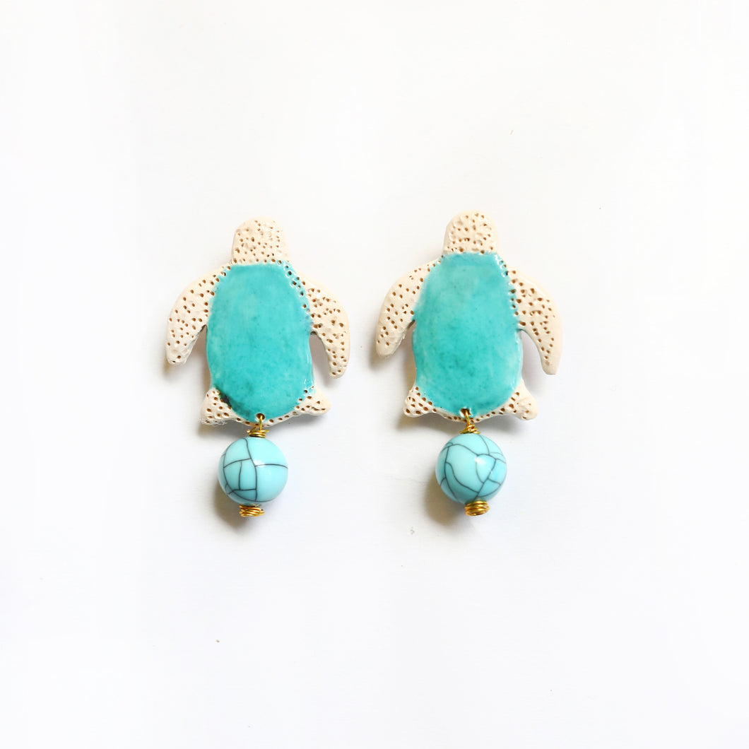 Caretta Caretta and Blue Ball